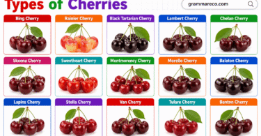 48+ Types of Cherries: Different Cherry Fruits with Pictures