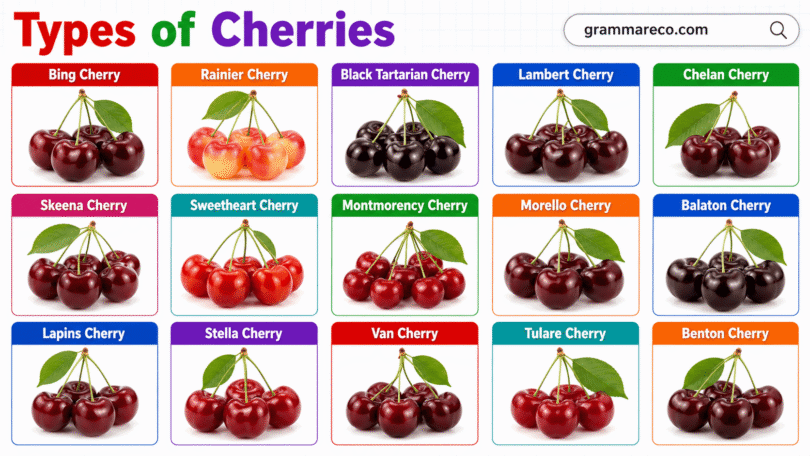 48+ Types of Cherries: Different Cherry Fruits with Pictures