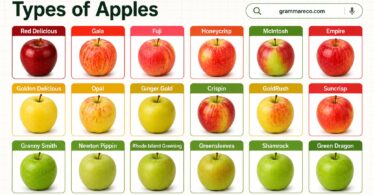 50 Different Types of Apples and Pictures with Properties