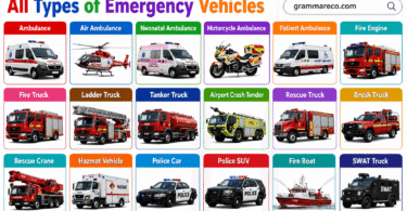 55+ Types of Emergency Vehicles with Names, Uses, and Pictures