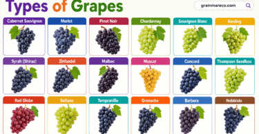 77 Different Types of Grapes and their Names with Pictures