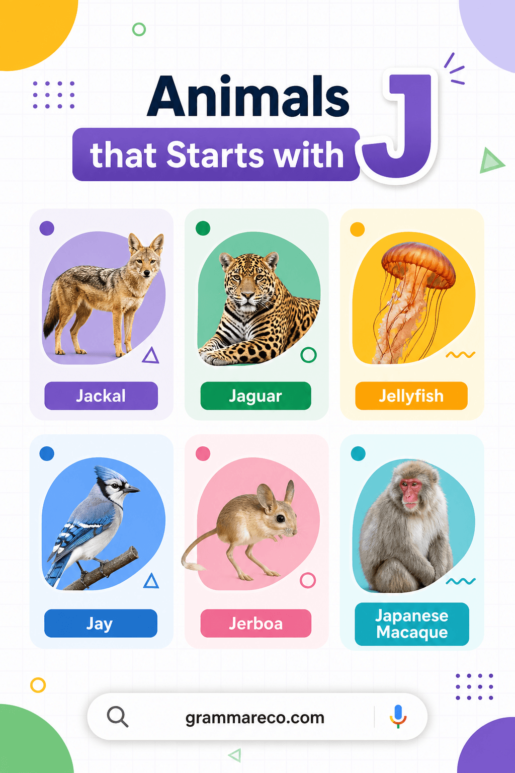 Animals that start with J with their Pictures