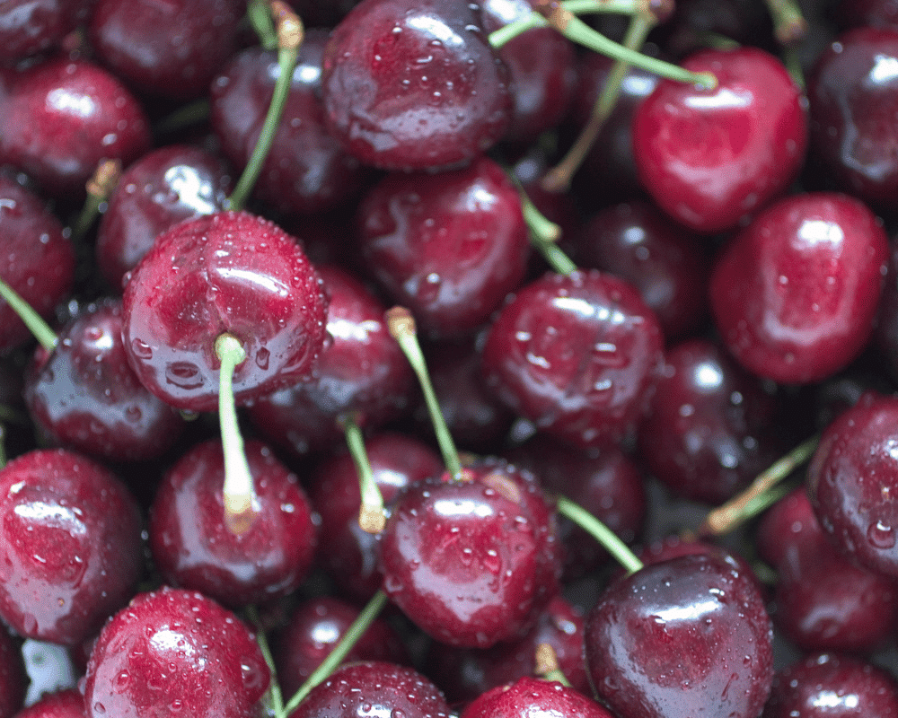 Bing Cherry: 48+ Types of Cherries
