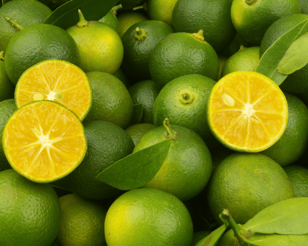 Calamansi Limes and their Pictures