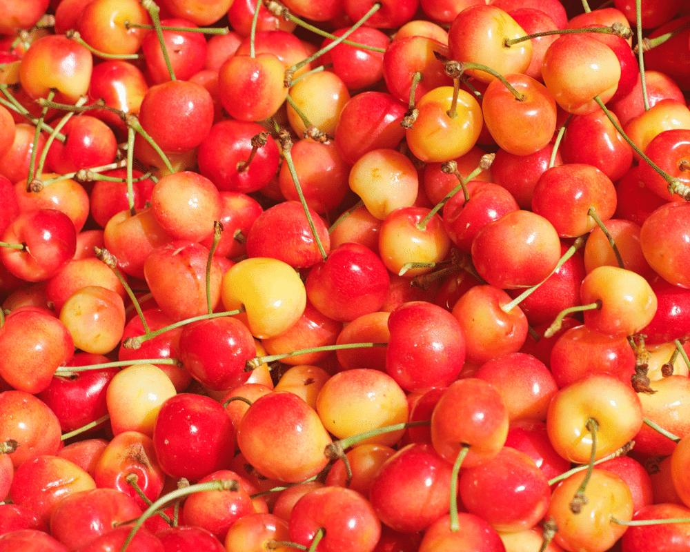 Cherry Varieties: Rainier Cherry Properties