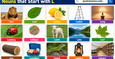 222+ Common Nouns that Start with L (Ultimate List with Pictures)