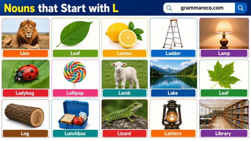 222+ Common Nouns that Start with L (Ultimate List with Pictures)