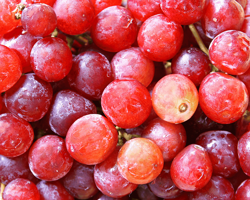 Different Types of Grapes: Red Globe Grapes