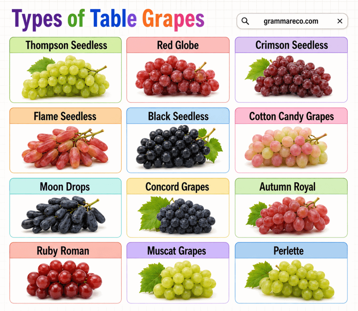 77 Different Types of Grapes and their Names with Pictures | Grammareco.com