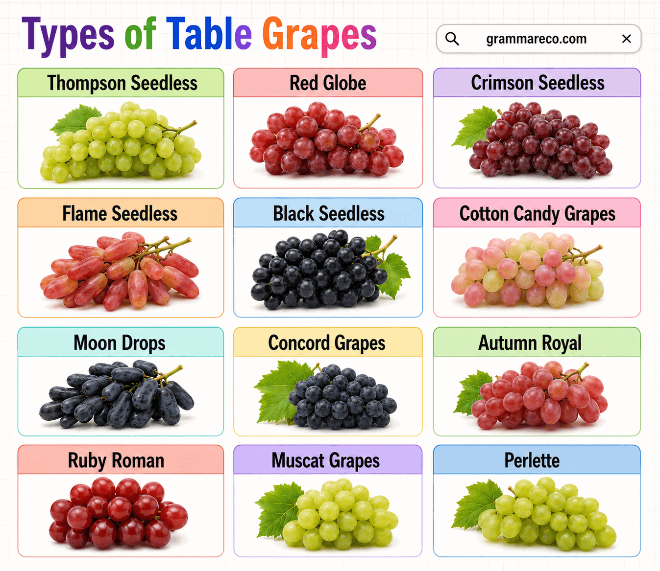 Different Types of Table Grapes and Properties with Pictures