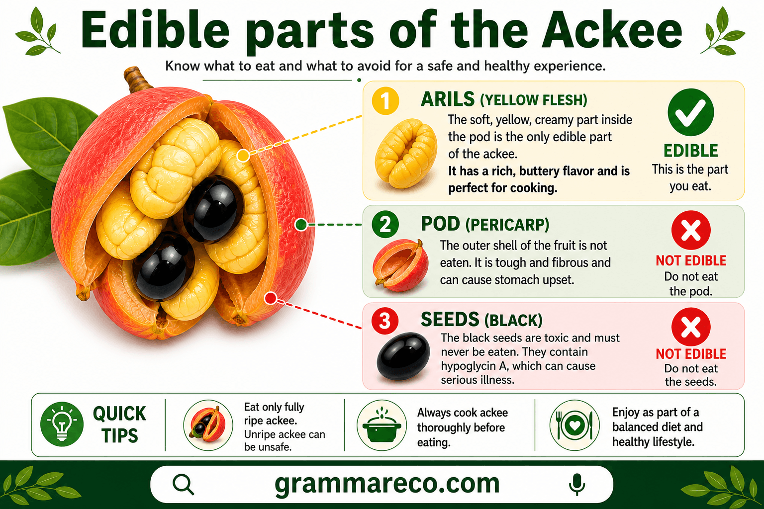 Edible parts of the fruit