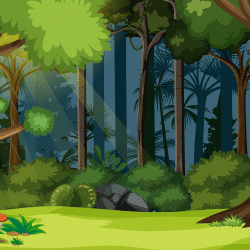 Forest - 3rd Grade Vocabulary