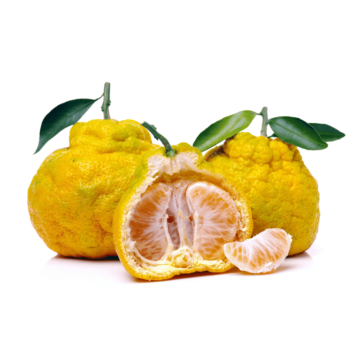 Fruit that Starts with U - Ugli Fruit