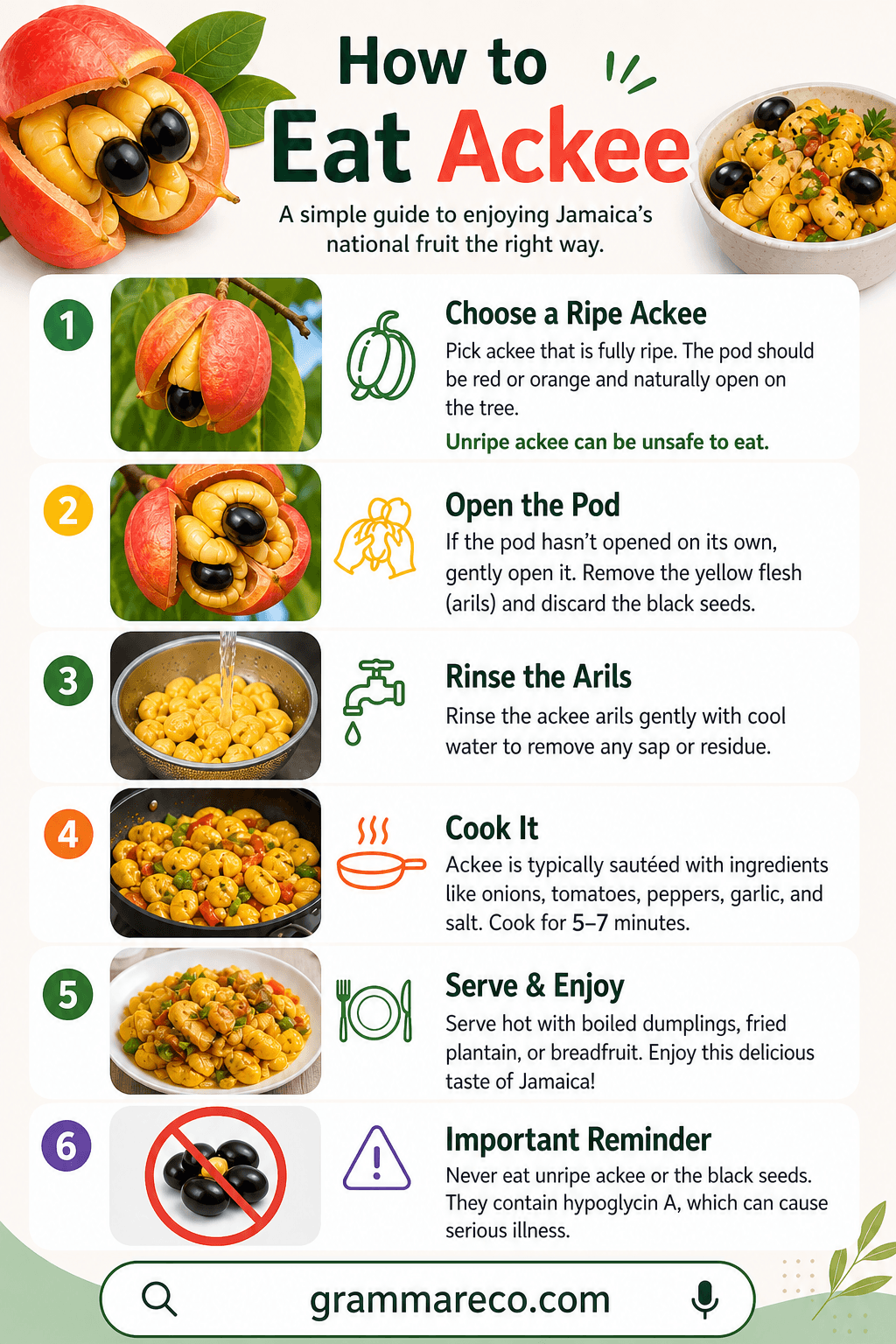 How to Eat Ackee? Complete Safe Guide Infographic