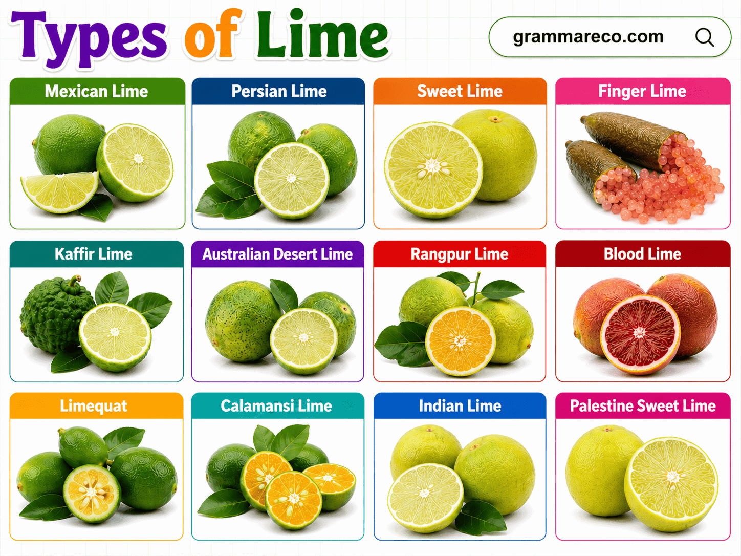 Limes Varieties with Properties and Pictures