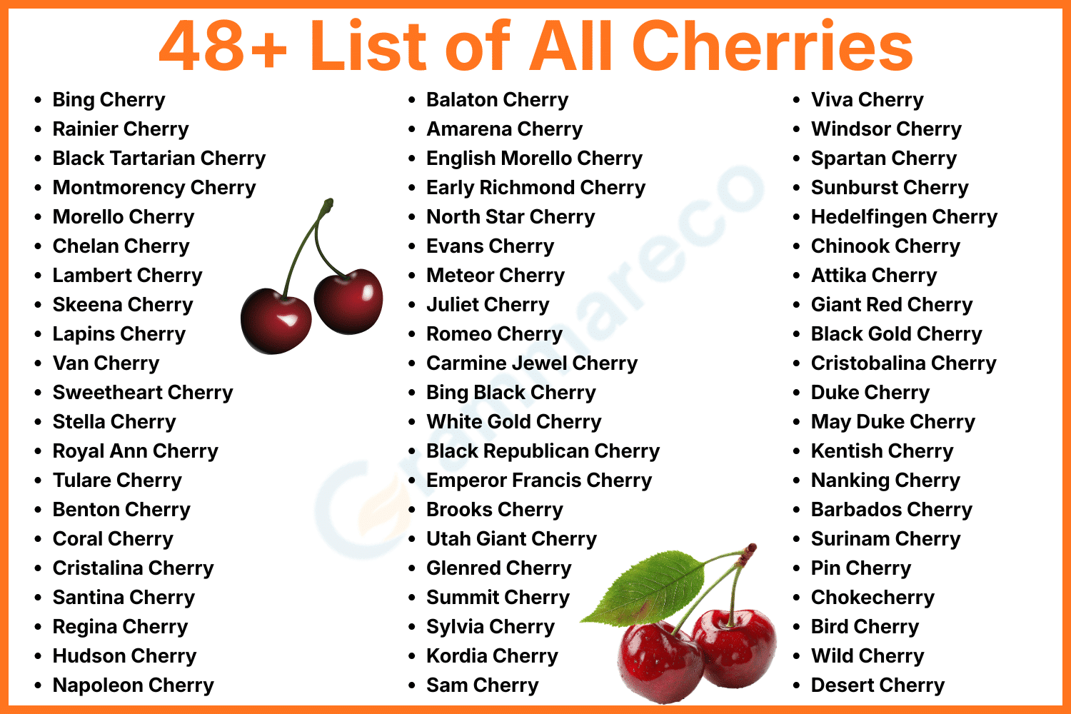 List of All Types of Cherries with their Pictures