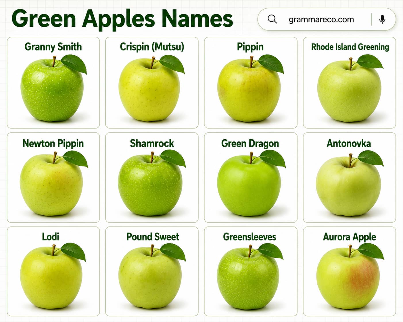 List of Green Apple in English With Pictures