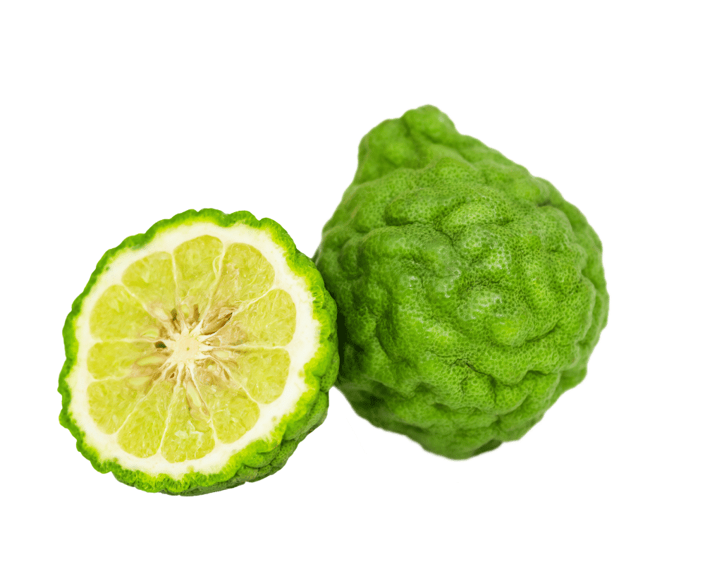 Makrut Lime (Kaffir Lime)