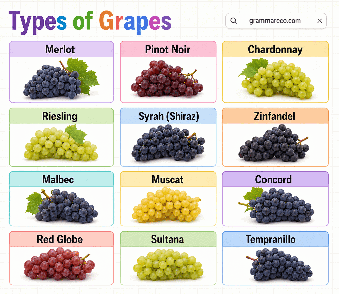Names of 77 Grapes Varieties Around the World