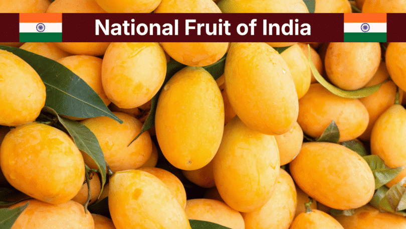 National Fruit of India – Mango Facts, 40+ Types with Pictures