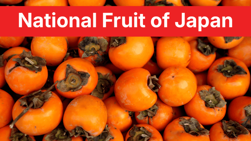 National Fruit of Japan Persimmon: 7 Types, Facts and Pictures