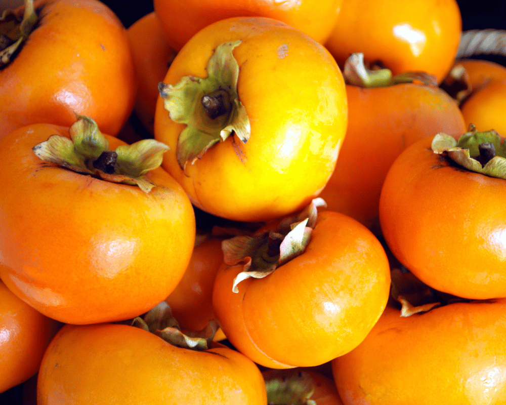 National Fruit of Japan: Tanenashi Persimmon