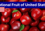 National Fruit of USA Names, Facts, History and Pictures