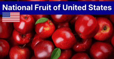 National Fruit of USA Names, Facts, History and Pictures