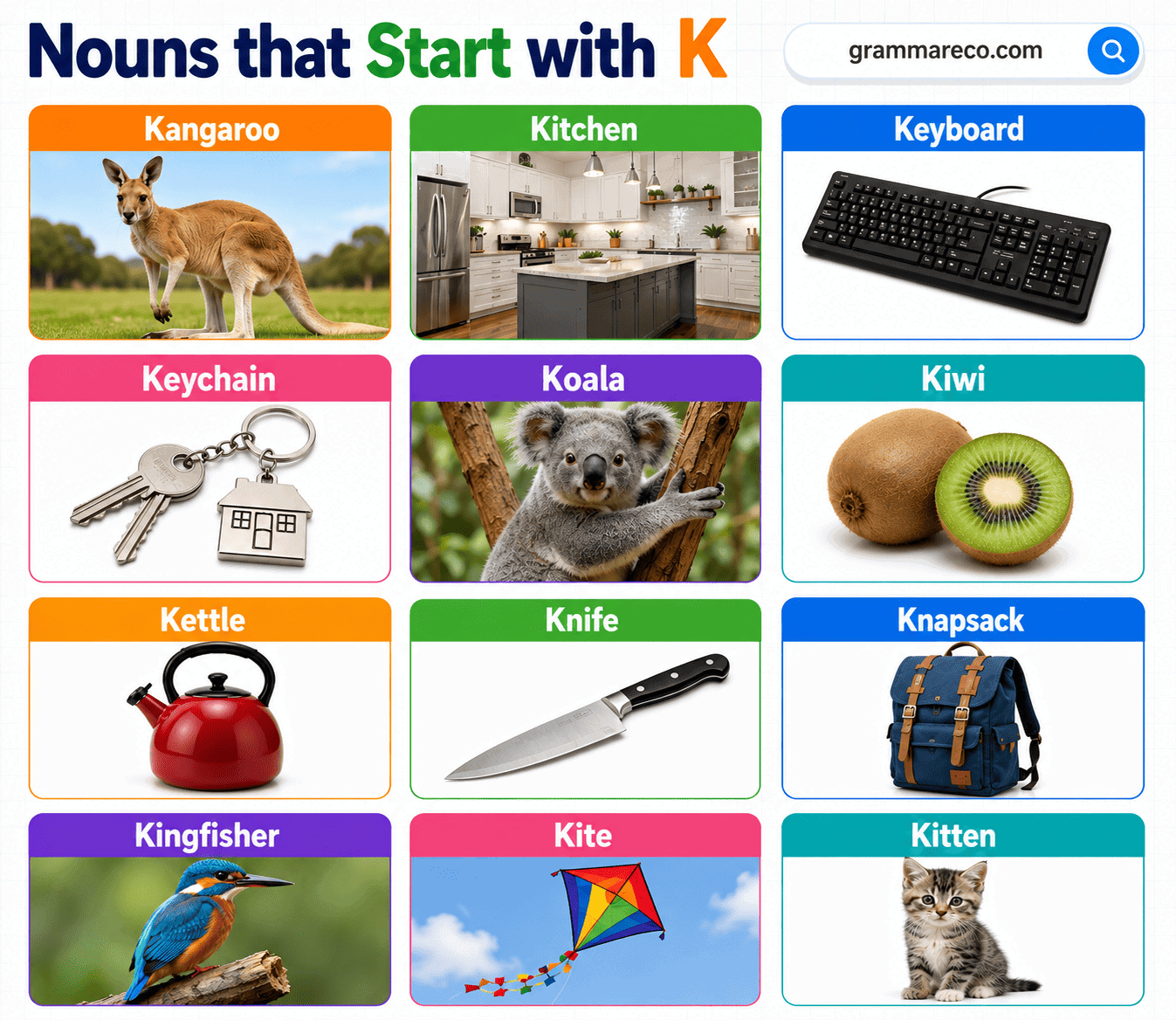200+ Noun that Starting with K with Pictures