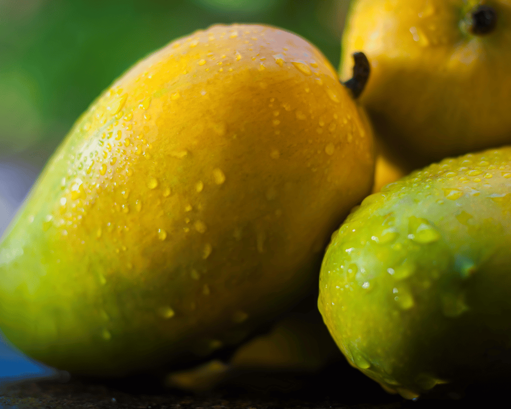 Kesar Mango: National Fruit of India with Pictures