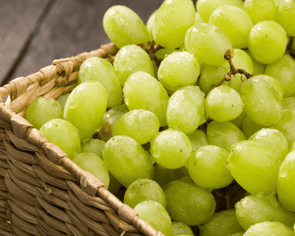 Princess Seedless - Type of Table Grapes