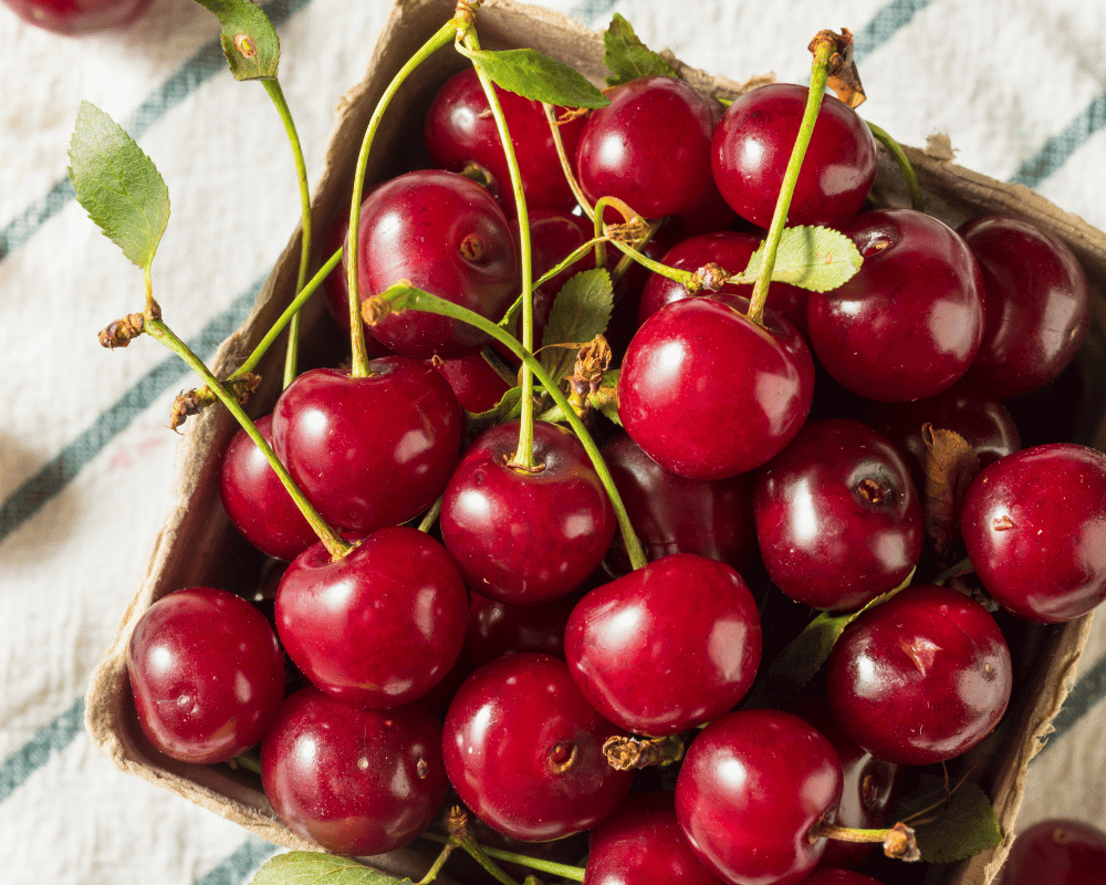 Tart Cherry Types and Facts with Pictures