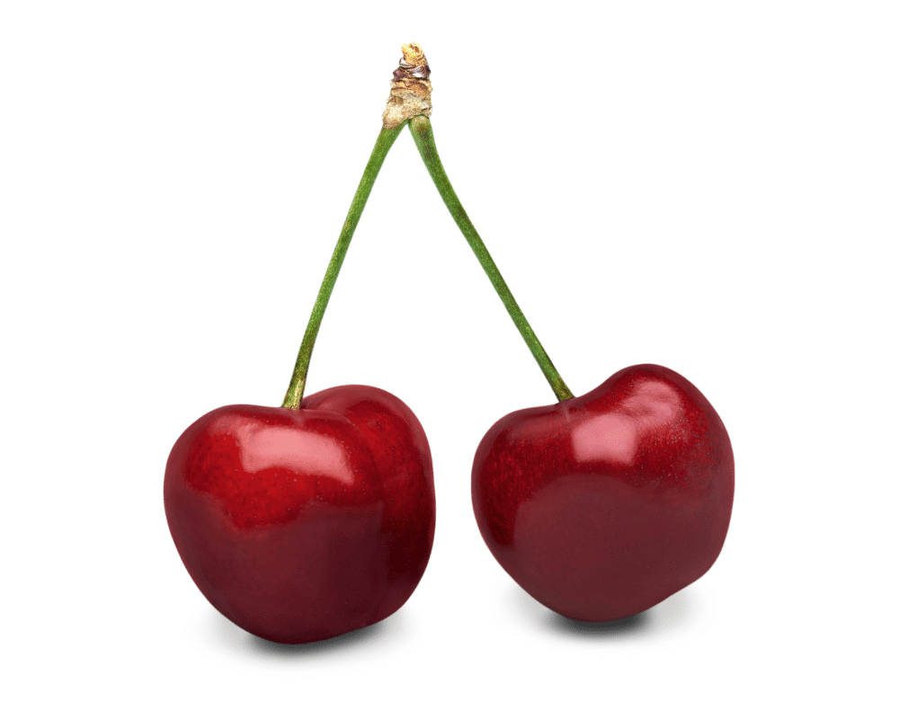 Type of Cherry: Regina Cherries and Properties