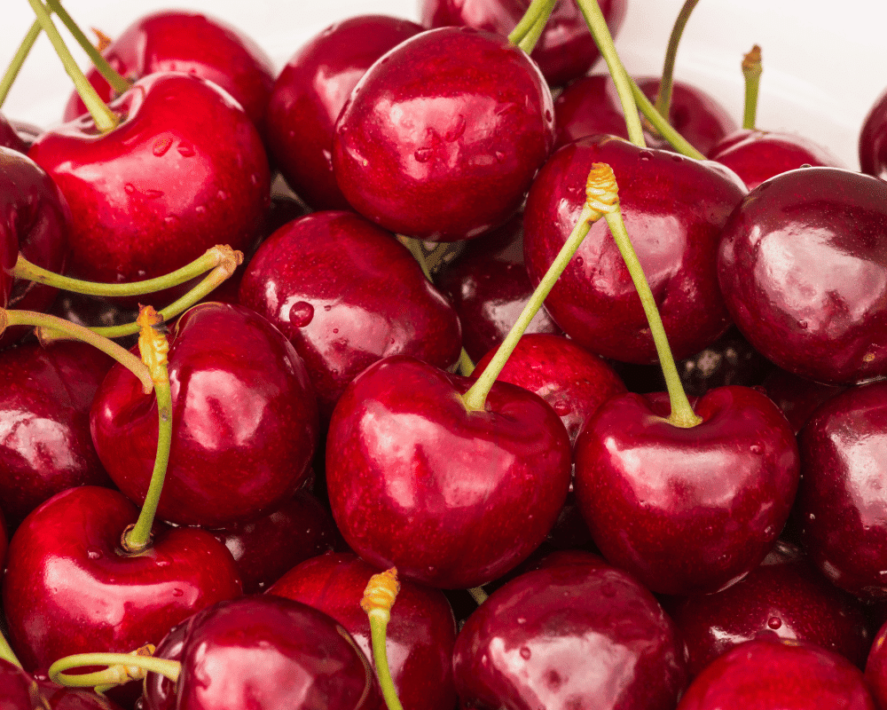 Type of Cherry: Stella Cherry and Properties