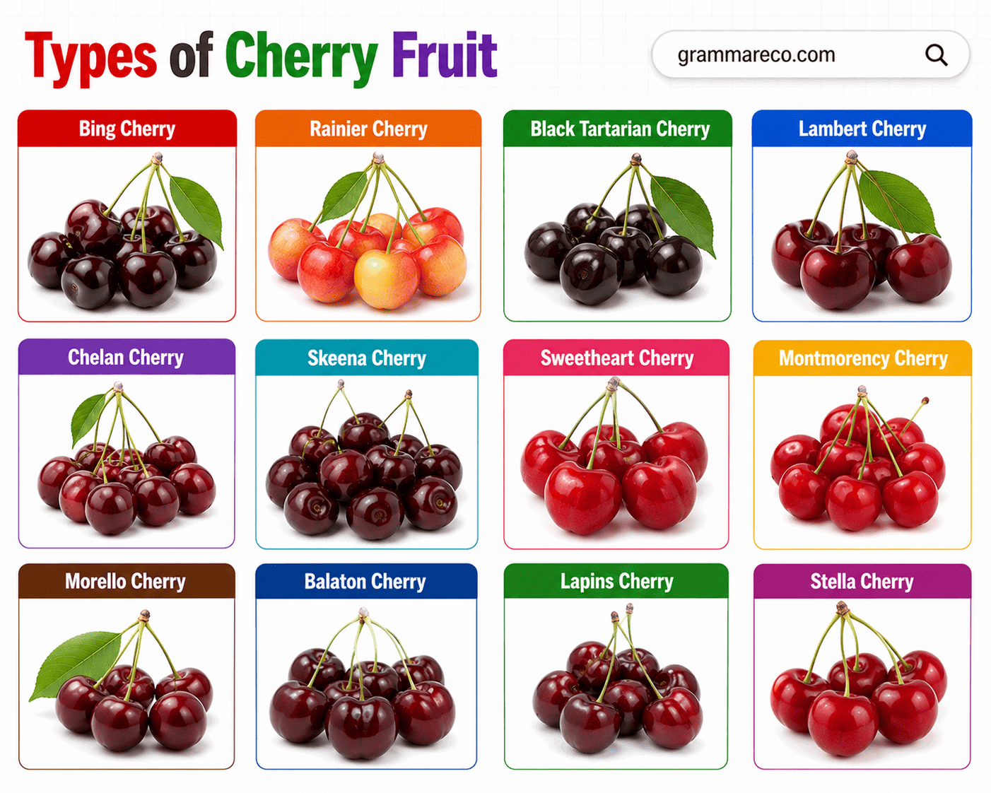 Types of Cherries and Properties with Pictures