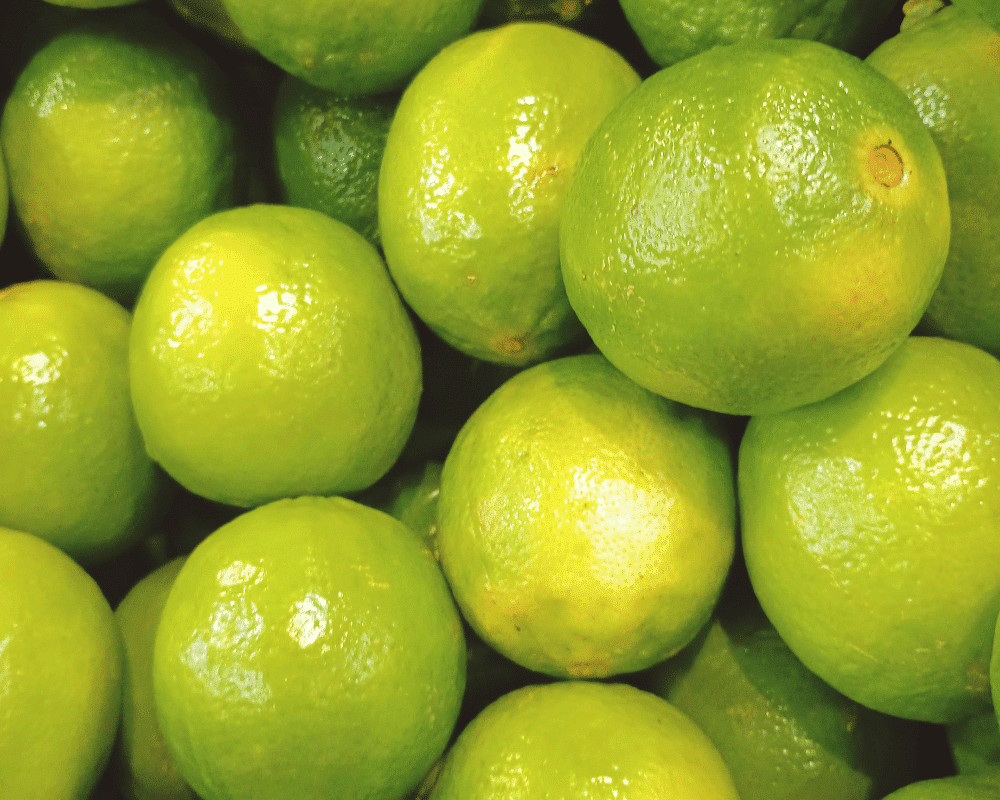 Type of Lime - Palestine Sweet Lime