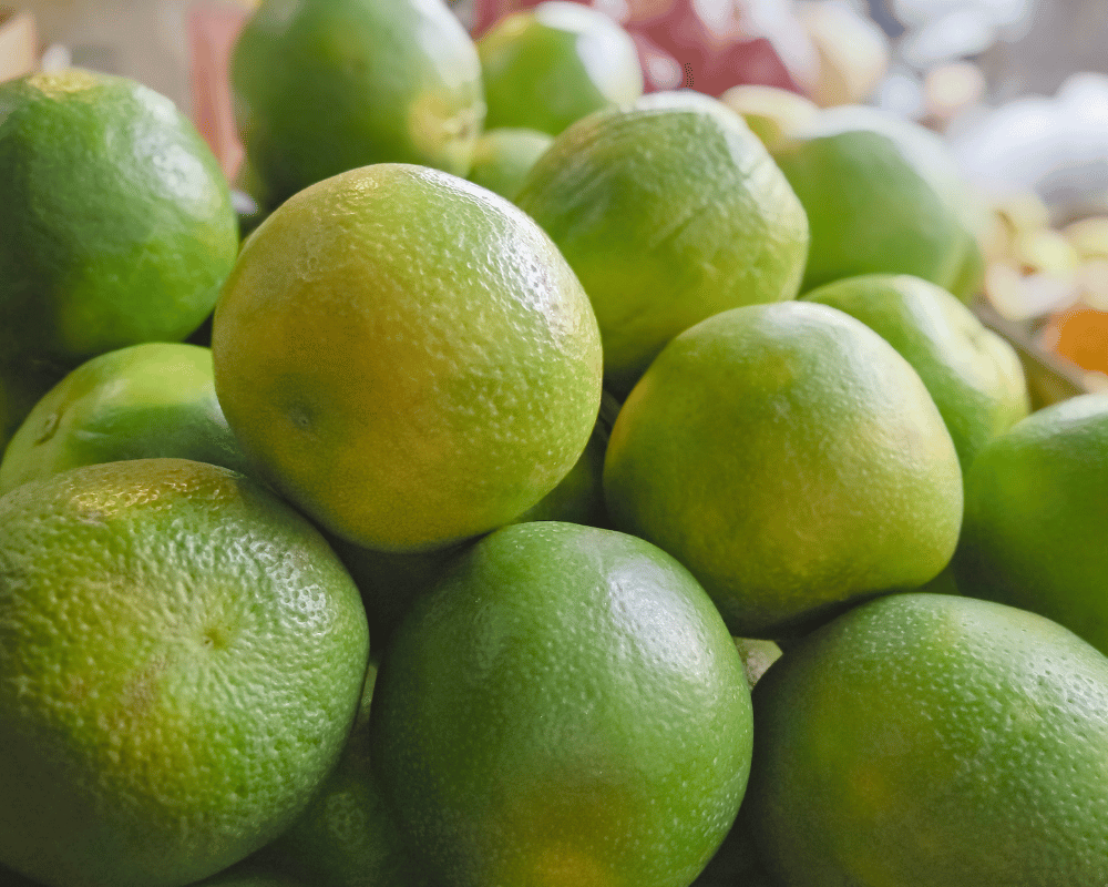 Type of Lime - Sweet Lime (Mosambi)