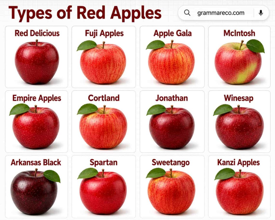 50 Different Types of Apples and Pictures with Properties | Grammareco.com