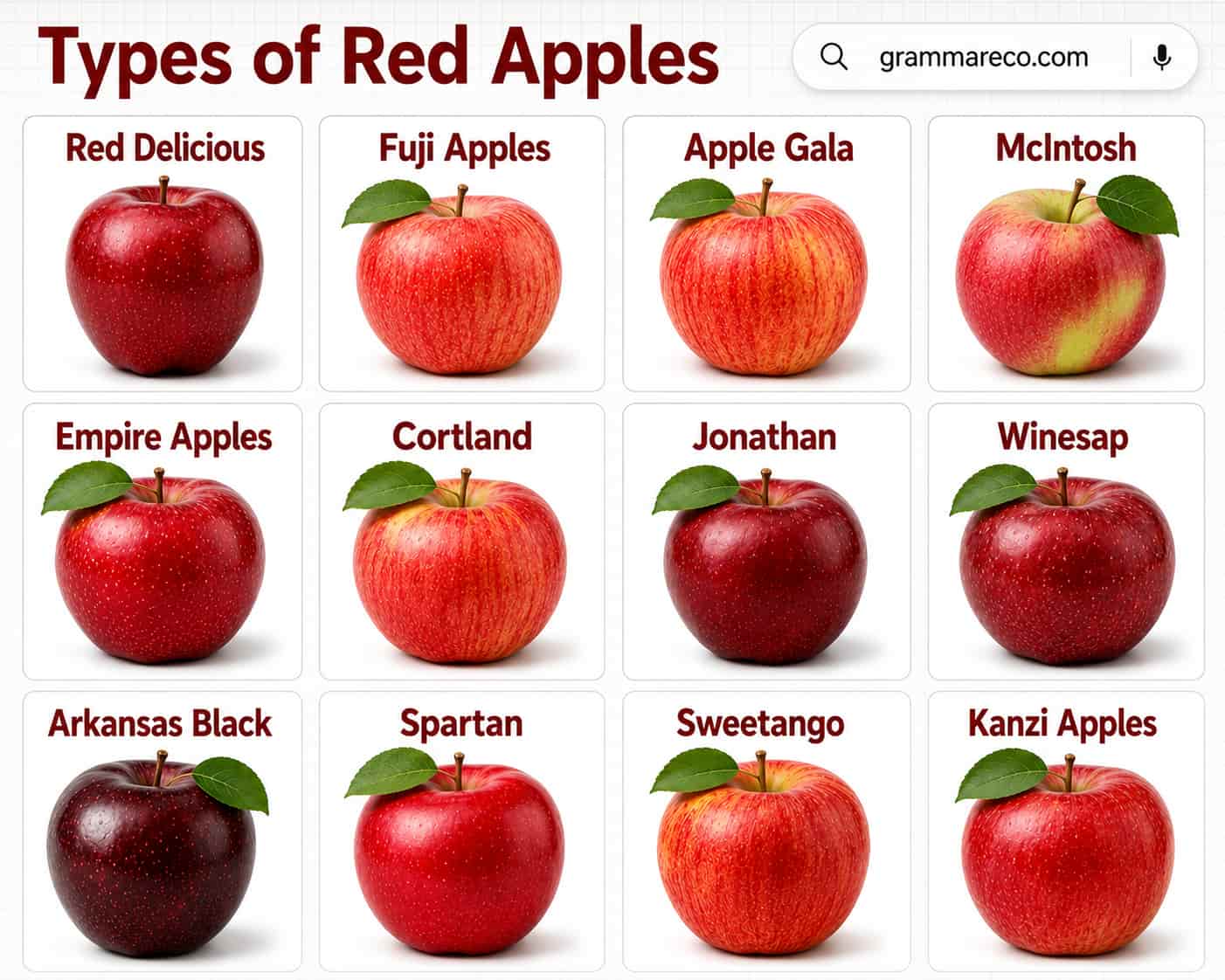 Types of Red Apples (True Red-Skinned Cultivars Around the World)
