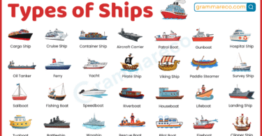 60+ Ship Names and Types with their Pictures: Full List