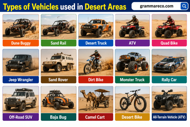 28 Types of Vehicles used in Desert Areas Names with Pictures