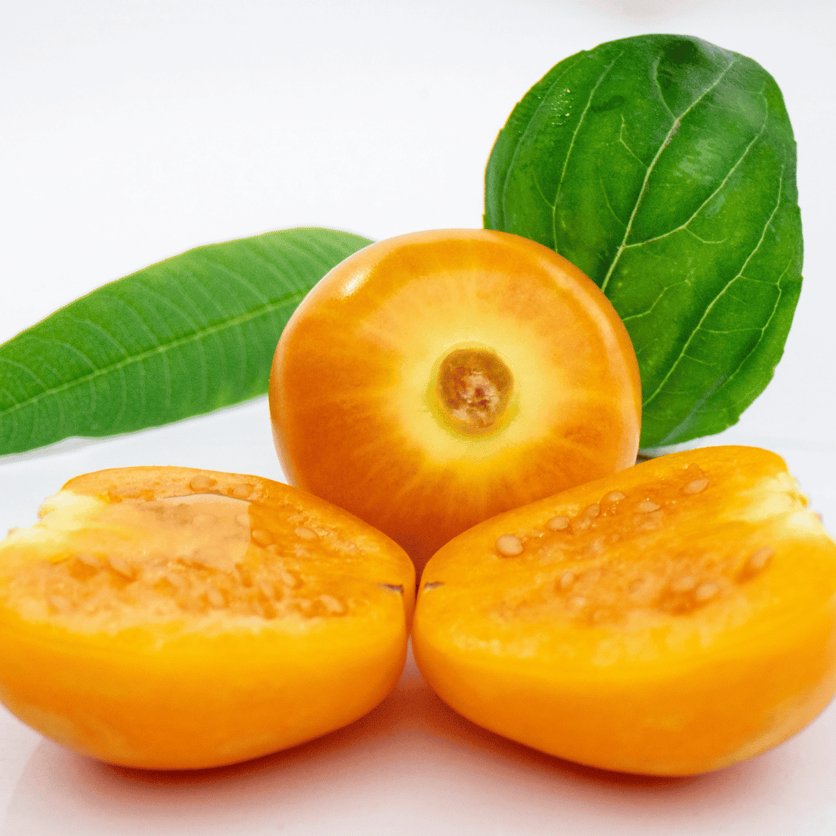 U Fruits with Pictures - Uvilla