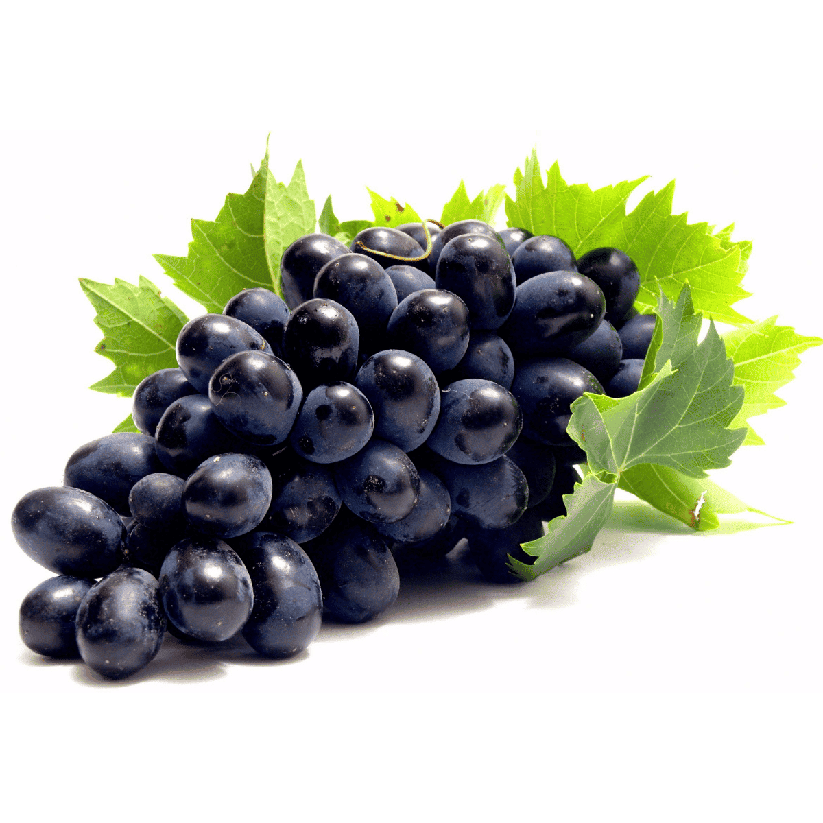 Usakhelauri Grape - Fruits that Begin with U