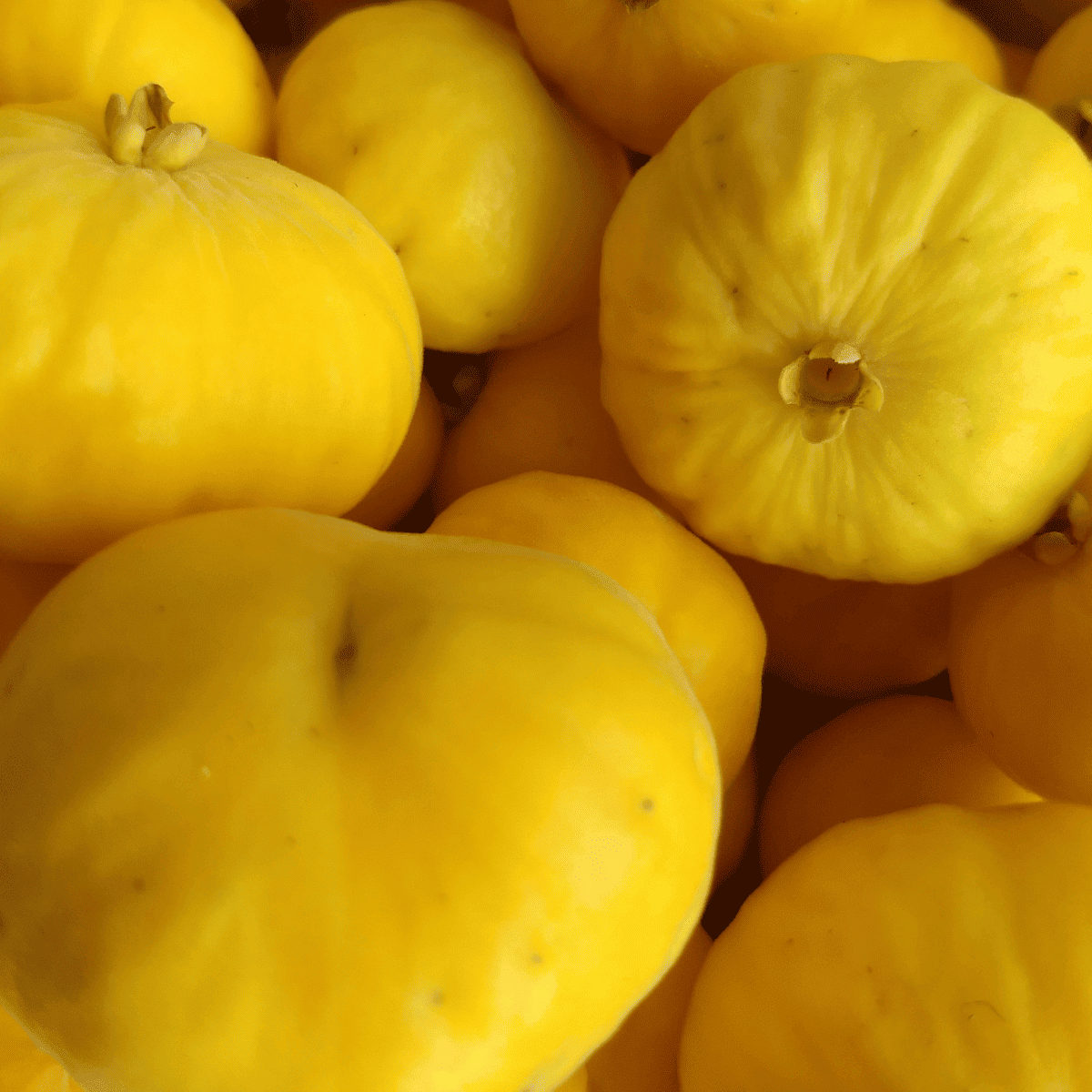 Uvaia - Fruits that Begin with U