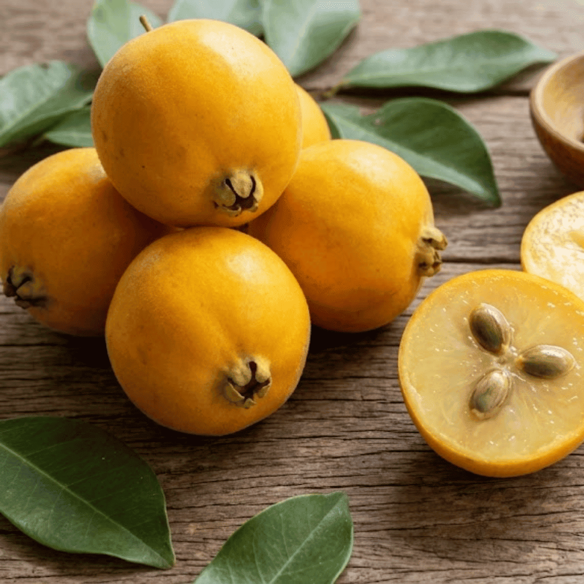 Uvalha - Fruits that Begin with U