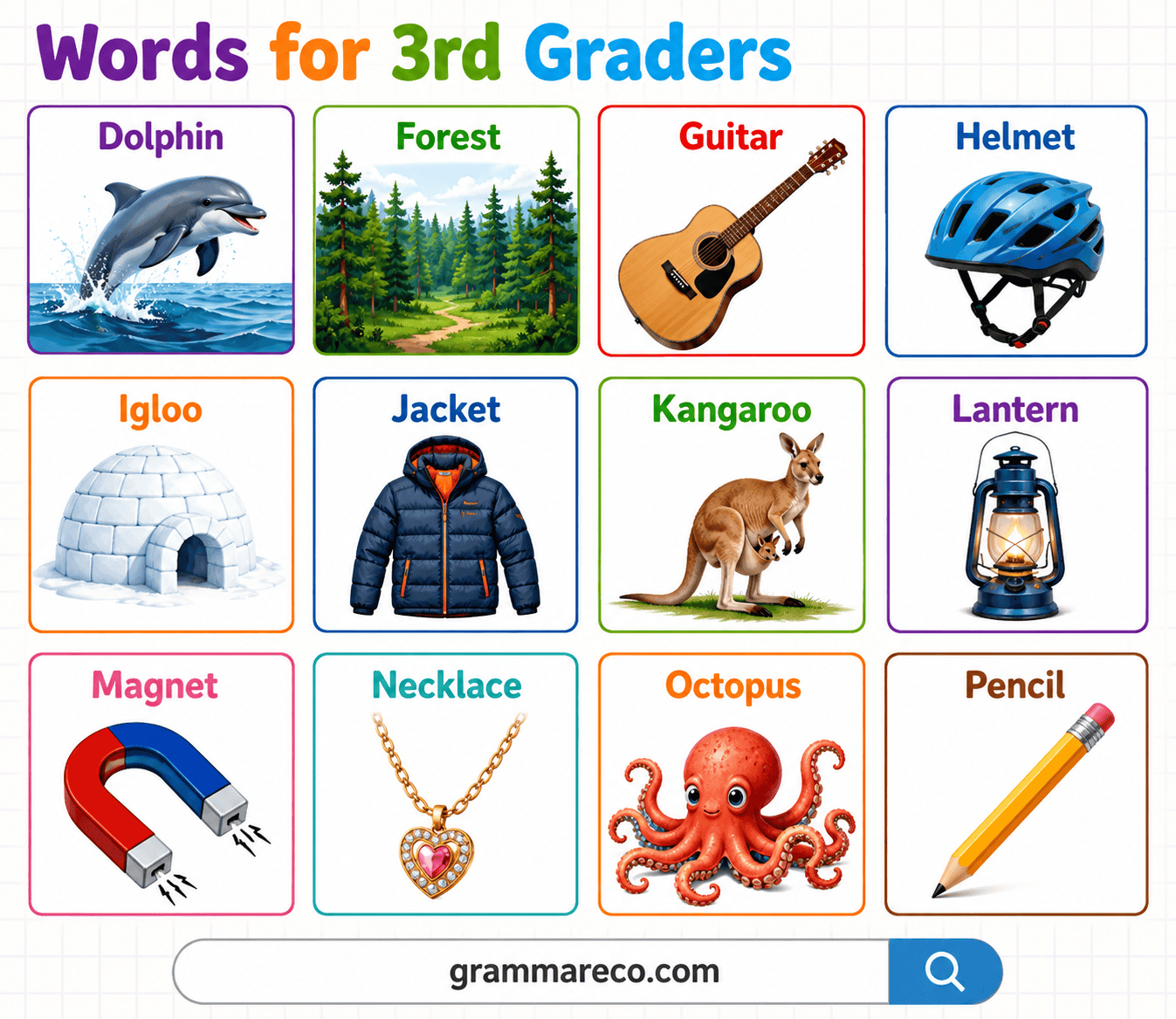 150+ Vocabulary Words for 3rd Graders with Pictures