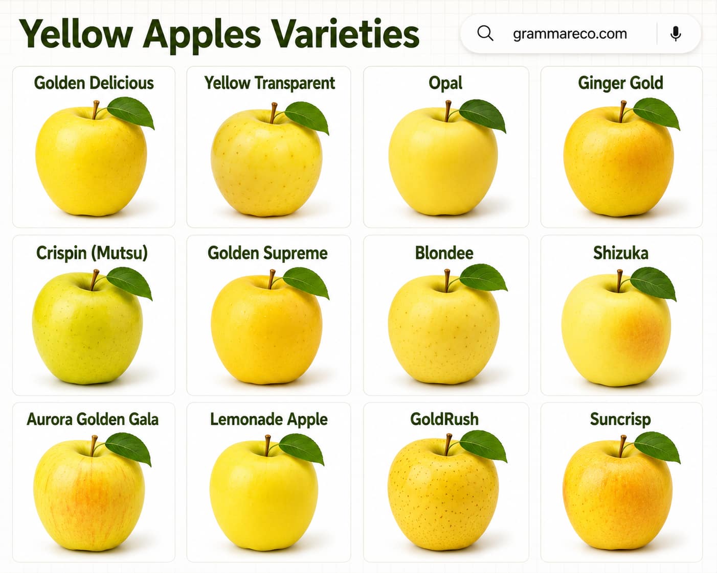 Types of Apples: Yellow Apple Varieties and Pictures