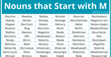 301 Useful Nouns that Start with M with Examples