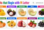 35 Popular Fruits that Start with the Letter M: List with Pictures