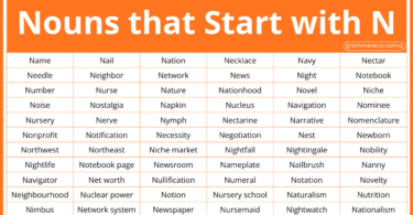 401 Nouns that Start with N with Types and Examples in English